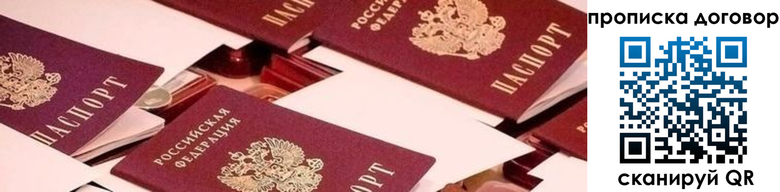 прописка для школы в Заполярном